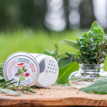 Charger l'image dans la galerie, Sel fin, condiment aux 11 herbes arômatisées et au Red Savina Habanero, présenté au sol avec un petit vase de différentes herbes arômatiques, tel que rosmarin, sauge, laurier (l'image du vase est floue)