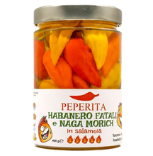Charger l'image dans la galerie, Mix Habanero Fatali et Naga Morich en saumure BIO – 400g
