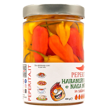 Charger l'image dans la galerie, Mix Habanero Fatali et Naga Morich en saumure BIO – 400g
